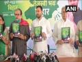 Bihar Assembly Elections 2020: Tejashwi Yadav releases RJD Manifesto, promises overall development to create new Bihar - Hindi News | Bihar Assembly Elections 2020: Tejashwi Yadav releases RJD Manifesto, promises overall development to create new Bihar | Latest national News at Lokmattimes.com