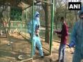 No case of bird flu in J-K, say officials - Hindi News | No case of bird flu in J-K, say officials | Latest national News at Lokmattimes.com