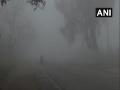 Thick layer of fog envelopes Amritsar, visibility affected - Hindi News | Thick layer of fog envelopes Amritsar, visibility affected | Latest national News at Lokmattimes.com