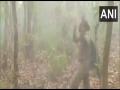 Odisha forest officer dances as it rains during fire at Similpal reserve, video goes viral - Hindi News | Odisha forest officer dances as it rains during fire at Similpal reserve, video goes viral | Latest national News at Lokmattimes.com