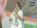 Nandigram witnessing 'hooliganism', will respond like a lion: Mamata - Hindi News | Nandigram witnessing 'hooliganism', will respond like a lion: Mamata | Latest politics News at Lokmattimes.com