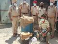 Punjab Police busts illegal liquor racket, 1 held - Hindi News | Punjab Police busts illegal liquor racket, 1 held | Latest national News at Lokmattimes.com