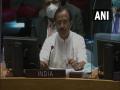 India raises concern over spread of terrorism in Africa at UNSC - Hindi News | India raises concern over spread of terrorism in Africa at UNSC | Latest international News at Lokmattimes.com