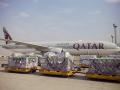 Qatar airways launches regular flights to Almaty- Ministry - Hindi News | Qatar airways launches regular flights to Almaty- Ministry | Latest international News at Lokmattimes.com