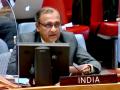Hosted millions of refugees, saved them from massacre when West Pakistan unleashed genocide on East Pakistan: India at UN - Hindi News | Hosted millions of refugees, saved them from massacre when West Pakistan unleashed genocide on East Pakistan: India at UN | Latest international News at Lokmattimes.com