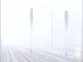 Dense fog, cold wave continues in North India - Hindi News | Dense fog, cold wave continues in North India | Latest national News at Lokmattimes.com