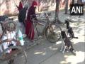 Tibetan nun feeds stray dogs in Bihar's Gaya since first nationwide COVID lockdown - Hindi News | Tibetan nun feeds stray dogs in Bihar's Gaya since first nationwide COVID lockdown | Latest national News at Lokmattimes.com