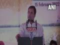 Assembly polls: Rahul Gandhi to address rallies in Punjab on Feb 17 - Hindi News | Assembly polls: Rahul Gandhi to address rallies in Punjab on Feb 17 | Latest politics News at Lokmattimes.com