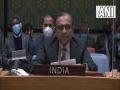 India abstains from voting on UNSC resolution condemning Russia's attack on Ukraine - Hindi News | India abstains from voting on UNSC resolution condemning Russia's attack on Ukraine | Latest international News at Lokmattimes.com