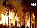 Andhra Pradesh: Fire breaks out in forest region of Tirumala - Hindi News | Andhra Pradesh: Fire breaks out in forest region of Tirumala | Latest national News at Lokmattimes.com
