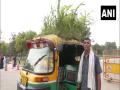 Auto richshaw with plants atop gives message for environment protection - Hindi News | Auto richshaw with plants atop gives message for environment protection | Latest national News at Lokmattimes.com