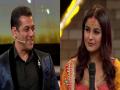 Kabhi Eid Kabhi Diwali: Salman Khan offers an incredible fee to Shehnaaz Gill - Hindi News | Kabhi Eid Kabhi Diwali: Salman Khan offers an incredible fee to Shehnaaz Gill | Latest maharashtra News at Lokmattimes.com