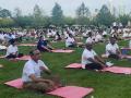 Tirumurti hosts Yoga event at UN building in New York - Hindi News | Tirumurti hosts Yoga event at UN building in New York | Latest international News at Lokmattimes.com
