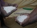 Sindh official blames Imran Khan govt for sharing allocated urea with Punjab - Hindi News | Sindh official blames Imran Khan govt for sharing allocated urea with Punjab | Latest international News at Lokmattimes.com