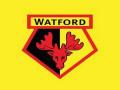 French midfielder Pape Gueye signs 5-year deal with Watford FC - Hindi News | French midfielder Pape Gueye signs 5-year deal with Watford FC | Latest football News at Lokmattimes.com