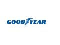 Goodyear India Limited is now Great Place to Work-Certified - Hindi News | Goodyear India Limited is now Great Place to Work-Certified | Latest business News at Lokmattimes.com