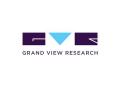 Grand View Research, opens new knowledge centre in Pune - Hindi News | Grand View Research, opens new knowledge centre in Pune | Latest business News at Lokmattimes.com