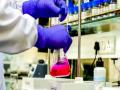 Granules India subsidiary clears USFDA audit - Hindi News | Granules India subsidiary clears USFDA audit | Latest national News at Lokmattimes.com