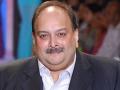Mehul Choksi is Antiguan citizen, his citizenship has not been revoked, says his advocate - Hindi News | Mehul Choksi is Antiguan citizen, his citizenship has not been revoked, says his advocate | Latest national News at Lokmattimes.com