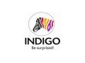 Indigo Paints IPO to open on Jan 20 with price band of Rs 1,488 to 1,490 - Hindi News | Indigo Paints IPO to open on Jan 20 with price band of Rs 1,488 to 1,490 | Latest maharashtra News at Lokmattimes.com
