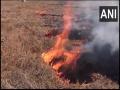 Haryana: FIR against farmers in Kaithal for burning stubble - Hindi News | Haryana: FIR against farmers in Kaithal for burning stubble | Latest national News at Lokmattimes.com