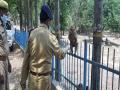 Lucknow police protects monkeys, stray animals from hunger, thirst - Hindi News | Lucknow police protects monkeys, stray animals from hunger, thirst | Latest national News at Lokmattimes.com