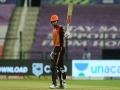 NZC monitoring travel ban situation and in contact with IPL franchises - Hindi News | NZC monitoring travel ban situation and in contact with IPL franchises | Latest cricket News at Lokmattimes.com