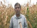 Man shuns USD 100,000 job in USA to to start farming in India - Hindi News | Man shuns USD 100,000 job in USA to to start farming in India | Latest national News at Lokmattimes.com