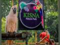 Surat's Kisna Nature Park contributing to conservation of exotic birds, animals - Hindi News | Surat's Kisna Nature Park contributing to conservation of exotic birds, animals | Latest business News at Lokmattimes.com