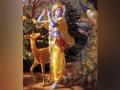 Krishna: The enchanting pied piper of Urdu poetry - Hindi News | Krishna: The enchanting pied piper of Urdu poetry | Latest lifestyle News at Lokmattimes.com