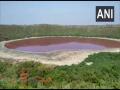 Maharashtra: Lonar lake water in Buldhana district turns red - Hindi News | Maharashtra: Lonar lake water in Buldhana district turns red | Latest maharashtra News at Lokmattimes.com