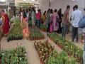 People show interest in horticulture, visit 'Ninth Nursery Mela' in Hyderabad - Hindi News | People show interest in horticulture, visit 'Ninth Nursery Mela' in Hyderabad | Latest national News at Lokmattimes.com