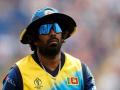Lasith Malinga joins Rajasthan Royals as fast bowling coach - Hindi News | Lasith Malinga joins Rajasthan Royals as fast bowling coach | Latest cricket News at Lokmattimes.com
