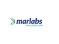 Marlabs appoints President - Digital Strategy, Innovation & Transformation to deepen digital focus - Hindi News | Marlabs appoints President - Digital Strategy, Innovation & Transformation to deepen digital focus | Latest business News at Lokmattimes.com