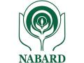 NABARD to devise plan to help peach, walnut farmers of J-K - Hindi News | NABARD to devise plan to help peach, walnut farmers of J-K | Latest national News at Lokmattimes.com