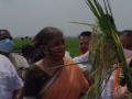 FM Nirmala Sitaraman visits farm fields in Andhra's Krishna district, interacts with farmers - Hindi News | FM Nirmala Sitaraman visits farm fields in Andhra's Krishna district, interacts with farmers | Latest national News at Lokmattimes.com