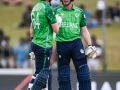 T20 WC: Tucker, Delany fire Ireland to 235/5 against Oman - Hindi News | T20 WC: Tucker, Delany fire Ireland to 235/5 against Oman | Latest other-sports News at Lokmattimes.com