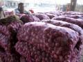 Nepal faces onion shortage after India imposes 40% export duty - Hindi News | Nepal faces onion shortage after India imposes 40% export duty | Latest politics News at Lokmattimes.com