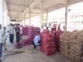 Farmers face financial burden as onion prices slump in Rajasthan's Jodhpur - Hindi News | Farmers face financial burden as onion prices slump in Rajasthan's Jodhpur | Latest national News at Lokmattimes.com
