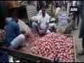 UP: Onion prices shoot up in Prayagraj after unseasonal rain damages crops - Hindi News | UP: Onion prices shoot up in Prayagraj after unseasonal rain damages crops | Latest national News at Lokmattimes.com