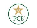 PCB suspends Zeeshan Malik under Anti-Corruption Code - Hindi News | PCB suspends Zeeshan Malik under Anti-Corruption Code | Latest cricket News at Lokmattimes.com