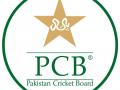 Pakistan PM sets up committee to decide on national team's participation in ODI World Cup in India - Hindi News | Pakistan PM sets up committee to decide on national team's participation in ODI World Cup in India | Latest cricket News at Lokmattimes.com