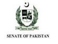 Chaos in Pak Senate over arrest of PDM workers - Hindi News | Chaos in Pak Senate over arrest of PDM workers | Latest international News at Lokmattimes.com