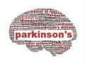 New discovery may lead to effective and natural treatment for Parkinson's disease - Hindi News | New discovery may lead to effective and natural treatment for Parkinson's disease | Latest health News at Lokmattimes.com