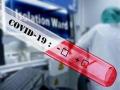Germany registers record 133,536 new COVID-19 cases in past 24 hours: Institute - Hindi News | Germany registers record 133,536 new COVID-19 cases in past 24 hours: Institute | Latest international News at Lokmattimes.com