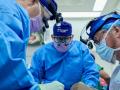 Pig kidney continues to function in human body after 32 days, scientists rejoice - Hindi News | Pig kidney continues to function in human body after 32 days, scientists rejoice | Latest international News at Lokmattimes.com