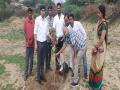 Plantation Drive initiated by Zila Parishad, Jodhpur and villagers of Uchiyarda - Hindi News | Plantation Drive initiated by Zila Parishad, Jodhpur and villagers of Uchiyarda | Latest business News at Lokmattimes.com