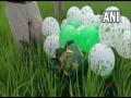Punjab: Balloons, flags of Pakistan found in Rupnagar district - Hindi News | Punjab: Balloons, flags of Pakistan found in Rupnagar district | Latest national News at Lokmattimes.com