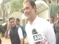 Rahul Gandhi plays it cool with media - Hindi News | Rahul Gandhi plays it cool with media | Latest national News at Lokmattimes.com