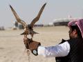 Pakistan issues hunting permits to 'Arab dignitaries' for protected bird species - Hindi News | Pakistan issues hunting permits to 'Arab dignitaries' for protected bird species | Latest international News at Lokmattimes.com